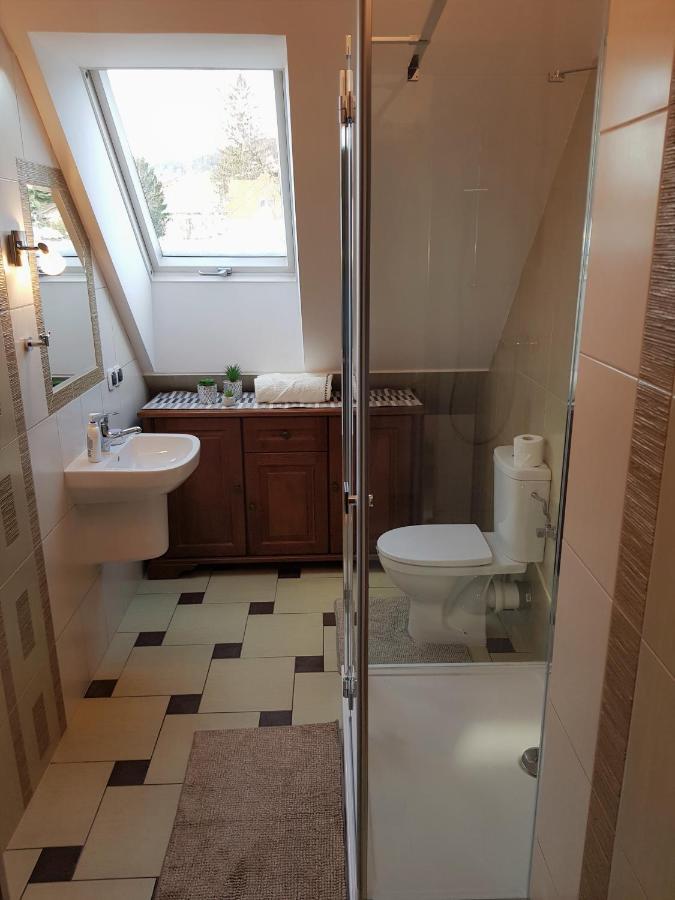 Apartament W Sercu Ustrzyk Leilighet Ustrzyki Dolne Eksteriør bilde